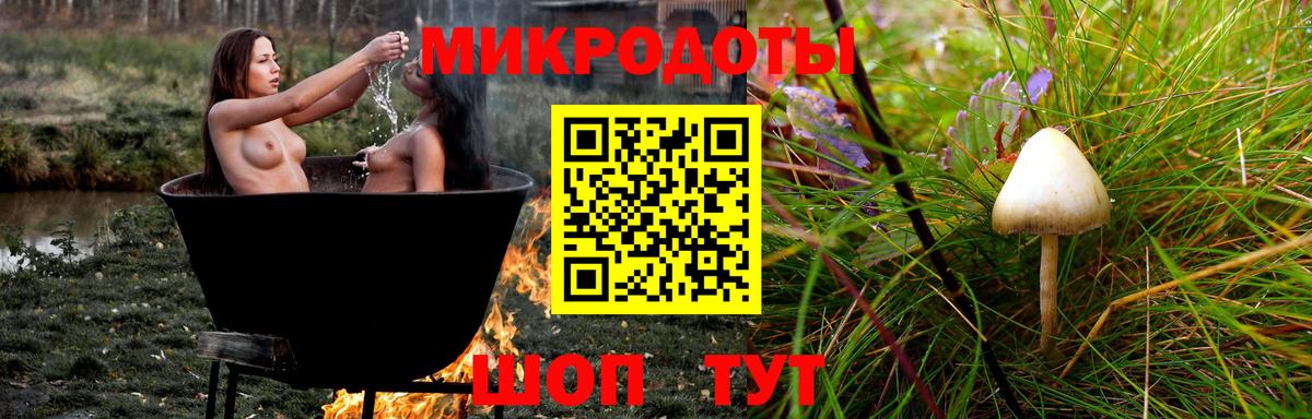Галлюциногенные грибы GOLDEN TEACHER Керчь